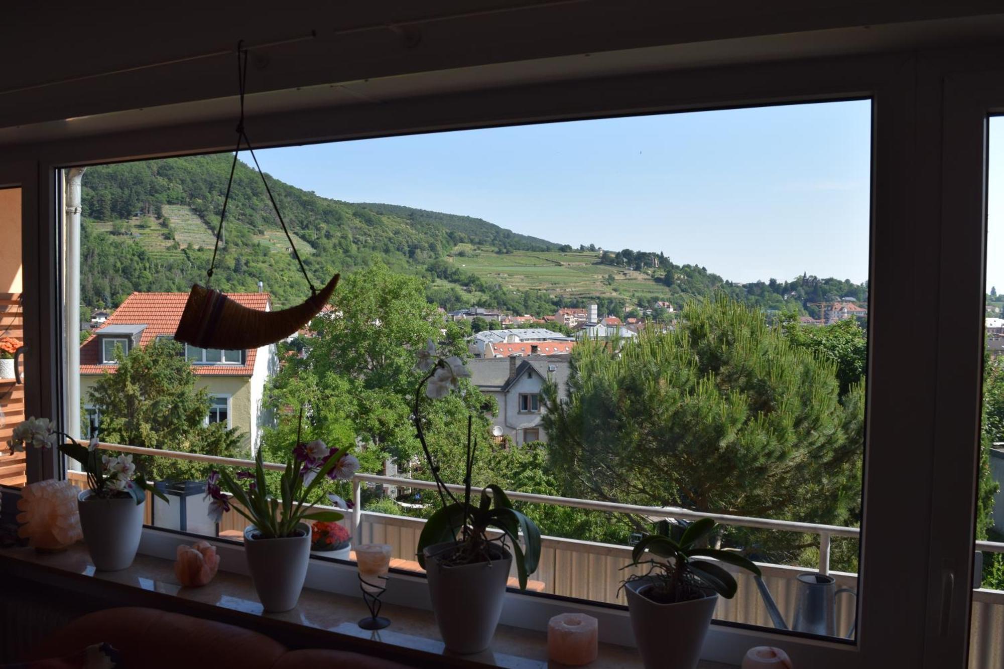 Ferienwohnung Ruth Neustadt an der Weinstrasse Bagian luar foto